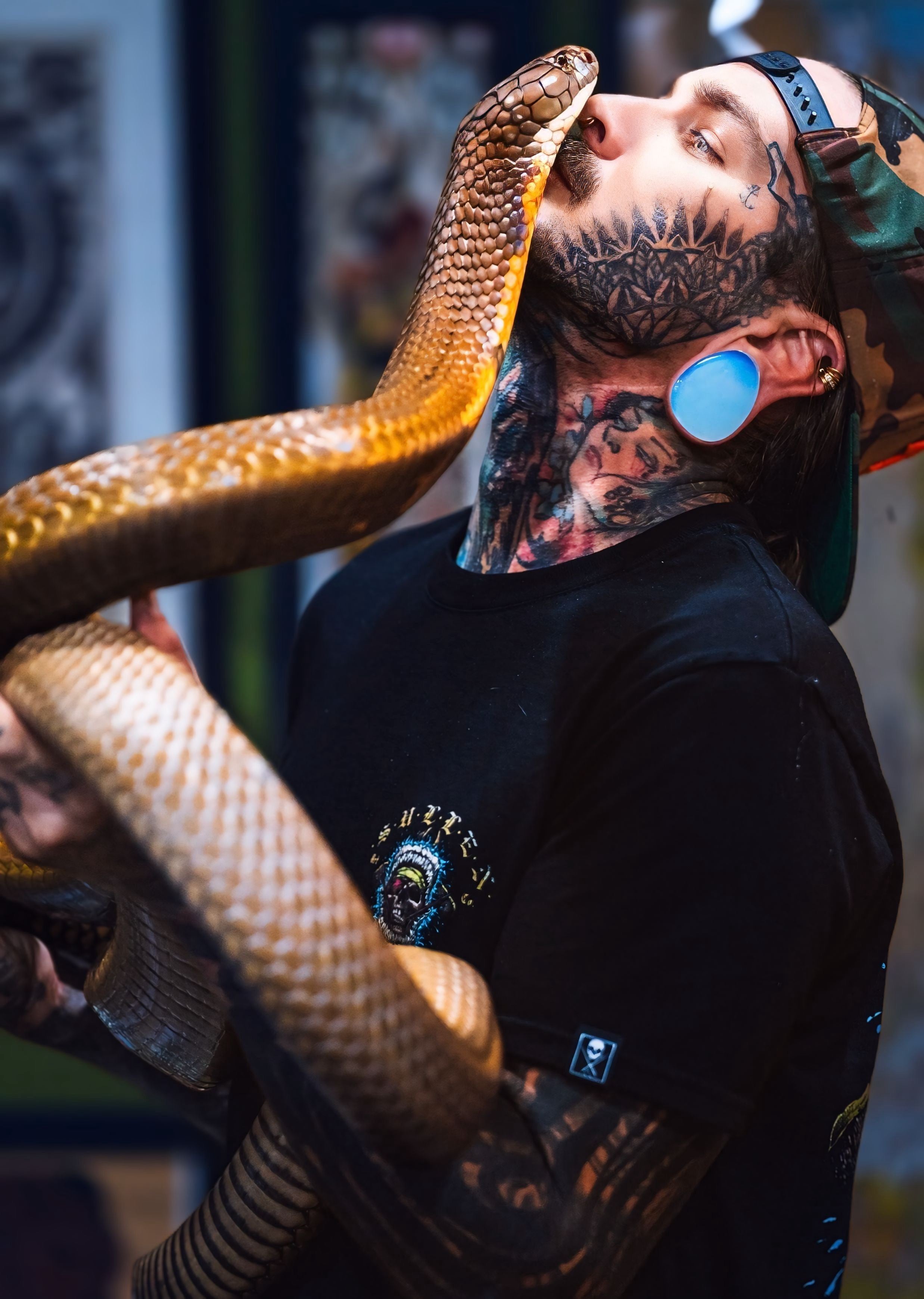 Rusty the King Cobra